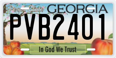 GA license plate PVB2401