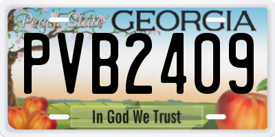 GA license plate PVB2409