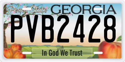 GA license plate PVB2428