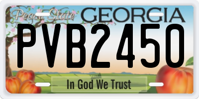 GA license plate PVB2450