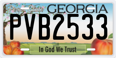 GA license plate PVB2533