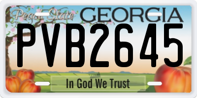 GA license plate PVB2645