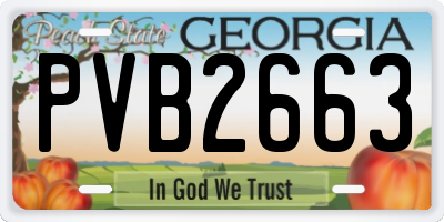 GA license plate PVB2663