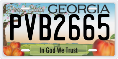 GA license plate PVB2665