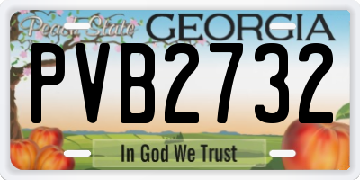 GA license plate PVB2732