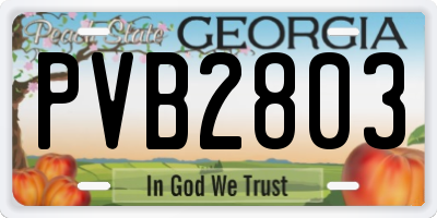 GA license plate PVB2803