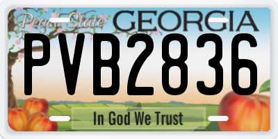 GA license plate PVB2836
