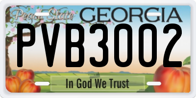 GA license plate PVB3002
