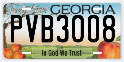 GA license plate PVB3008
