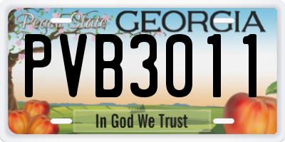 GA license plate PVB3011