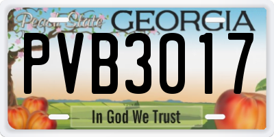 GA license plate PVB3017
