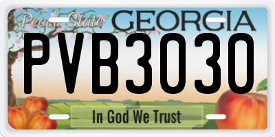 GA license plate PVB3030