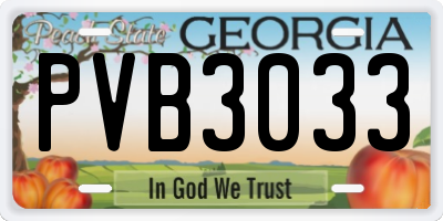 GA license plate PVB3033