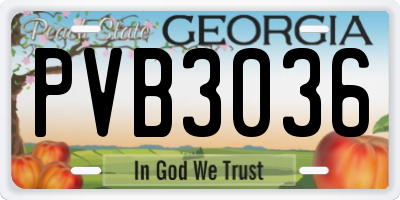 GA license plate PVB3036