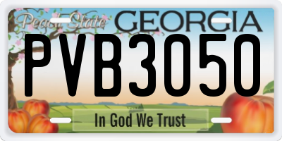 GA license plate PVB3050