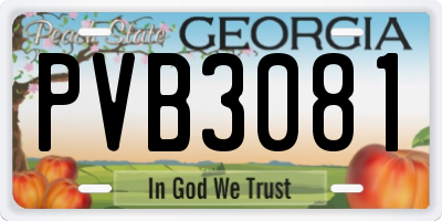 GA license plate PVB3081