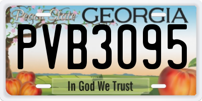 GA license plate PVB3095