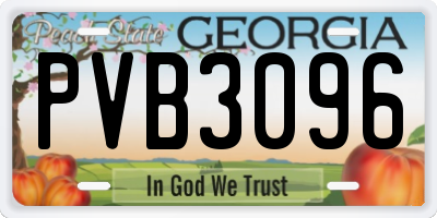 GA license plate PVB3096