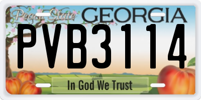 GA license plate PVB3114
