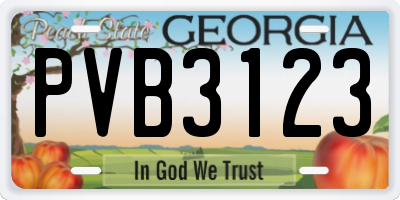 GA license plate PVB3123
