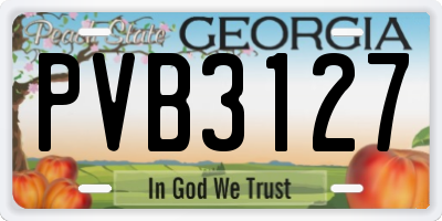 GA license plate PVB3127