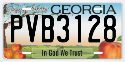 GA license plate PVB3128