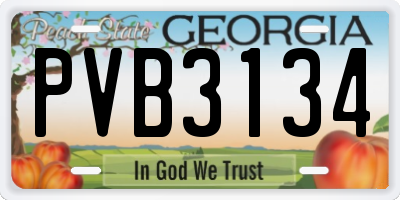 GA license plate PVB3134