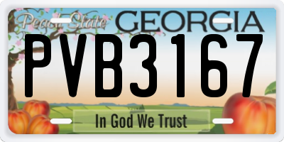 GA license plate PVB3167