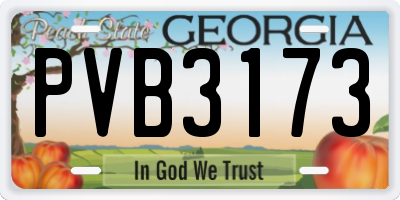 GA license plate PVB3173