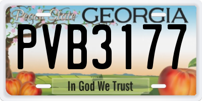GA license plate PVB3177