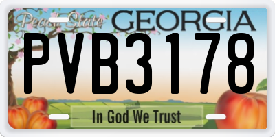 GA license plate PVB3178