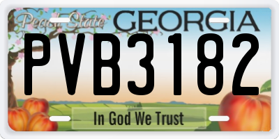 GA license plate PVB3182