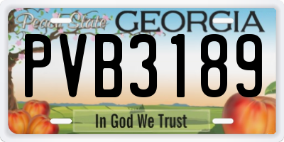 GA license plate PVB3189