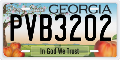 GA license plate PVB3202