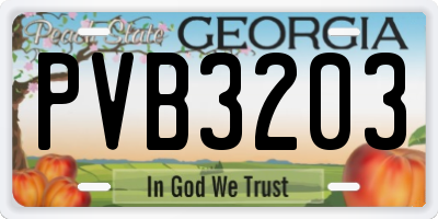 GA license plate PVB3203