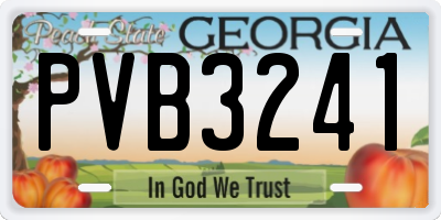 GA license plate PVB3241
