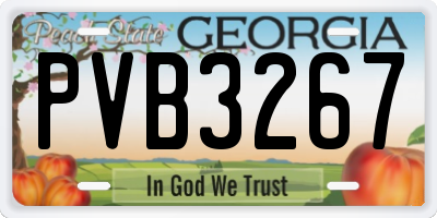 GA license plate PVB3267