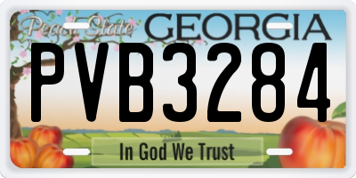 GA license plate PVB3284