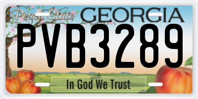 GA license plate PVB3289