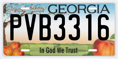 GA license plate PVB3316