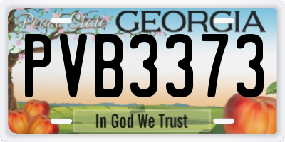 GA license plate PVB3373
