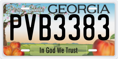 GA license plate PVB3383