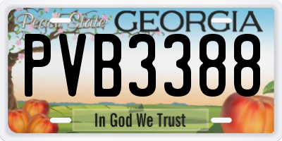 GA license plate PVB3388