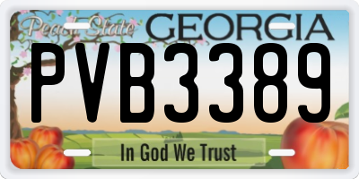 GA license plate PVB3389