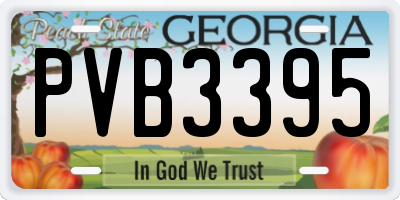 GA license plate PVB3395