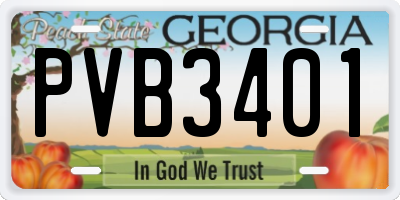 GA license plate PVB3401
