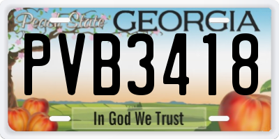 GA license plate PVB3418