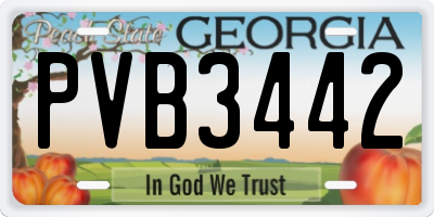 GA license plate PVB3442