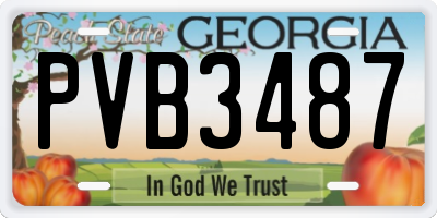GA license plate PVB3487