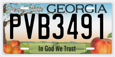 GA license plate PVB3491